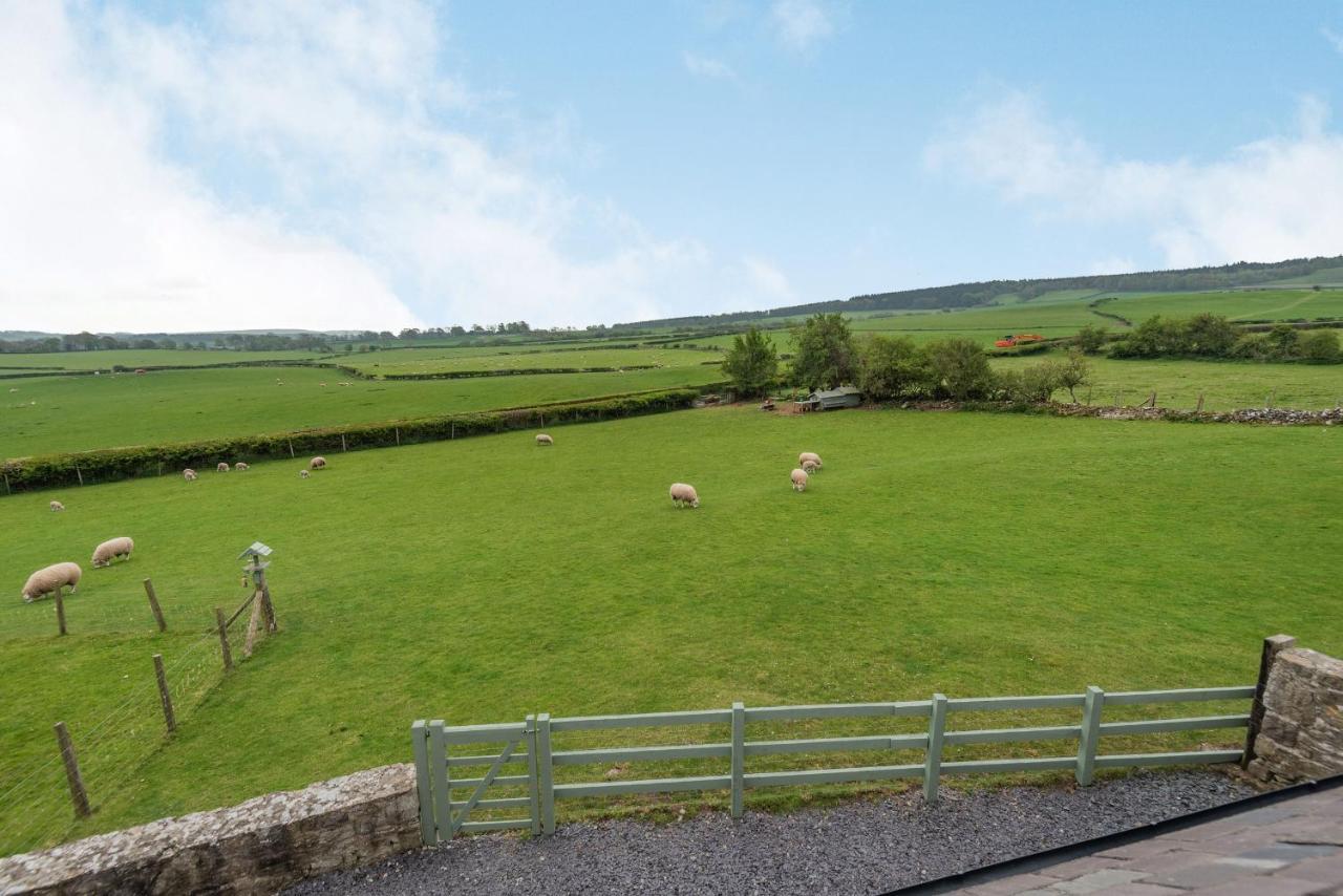 Villa Hafan Haydn Cwm  Exterior foto